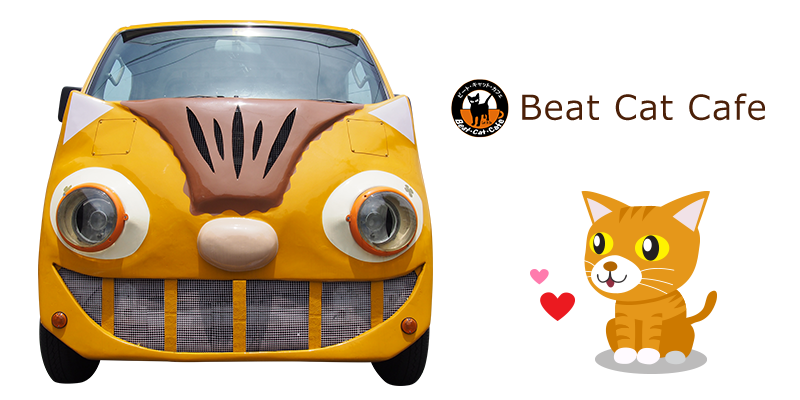 Beat Cat Cafe